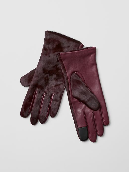 View large product image 1 of 1. Calf hair tech gloves