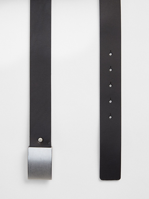 Image number 3 showing, Plaque Belt