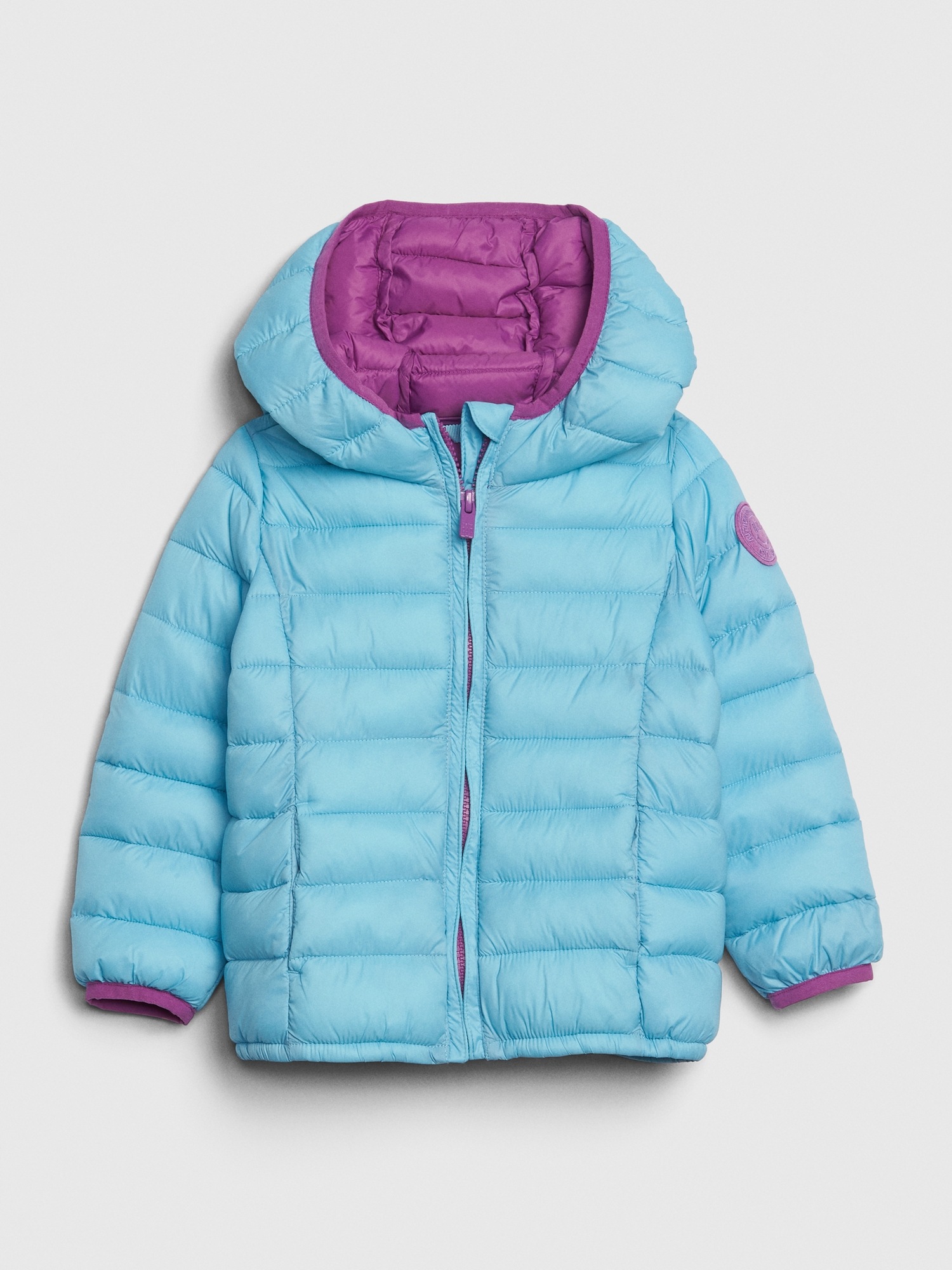 gap windbreaker toddler