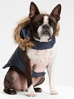 gap dog hoodie