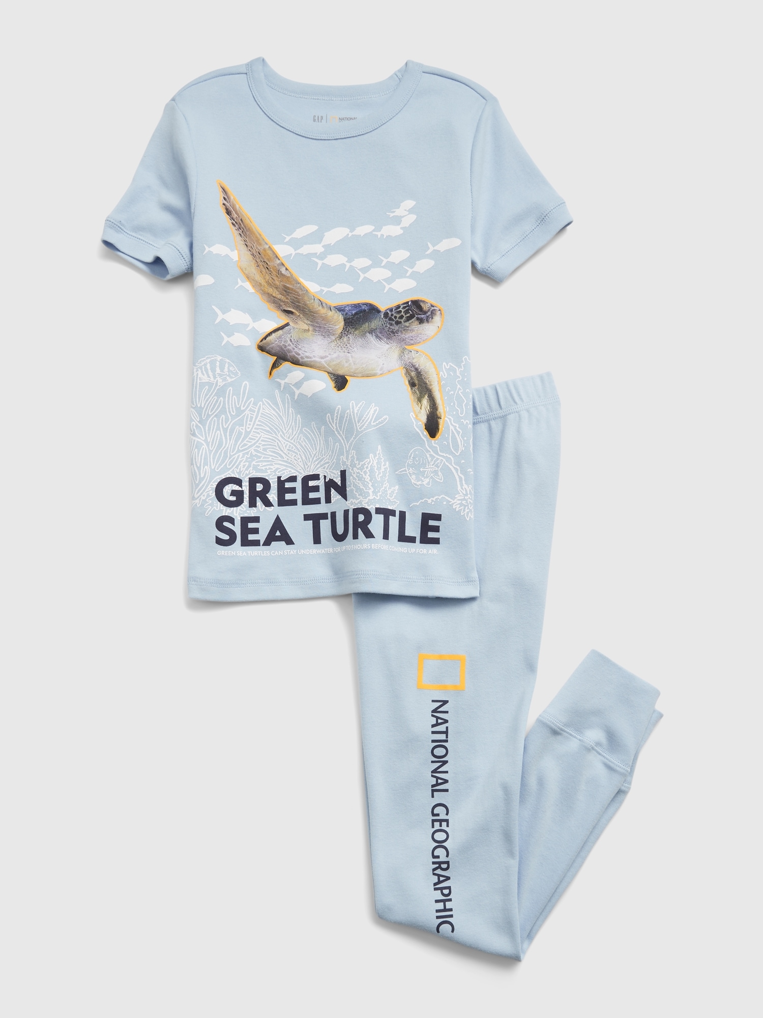 GapKids  National Geographic Sea Turtle 100% Organic Cotton PJ