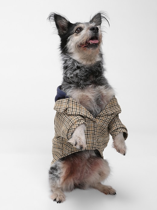 Image number 2 showing, Dog Wool Hoodie