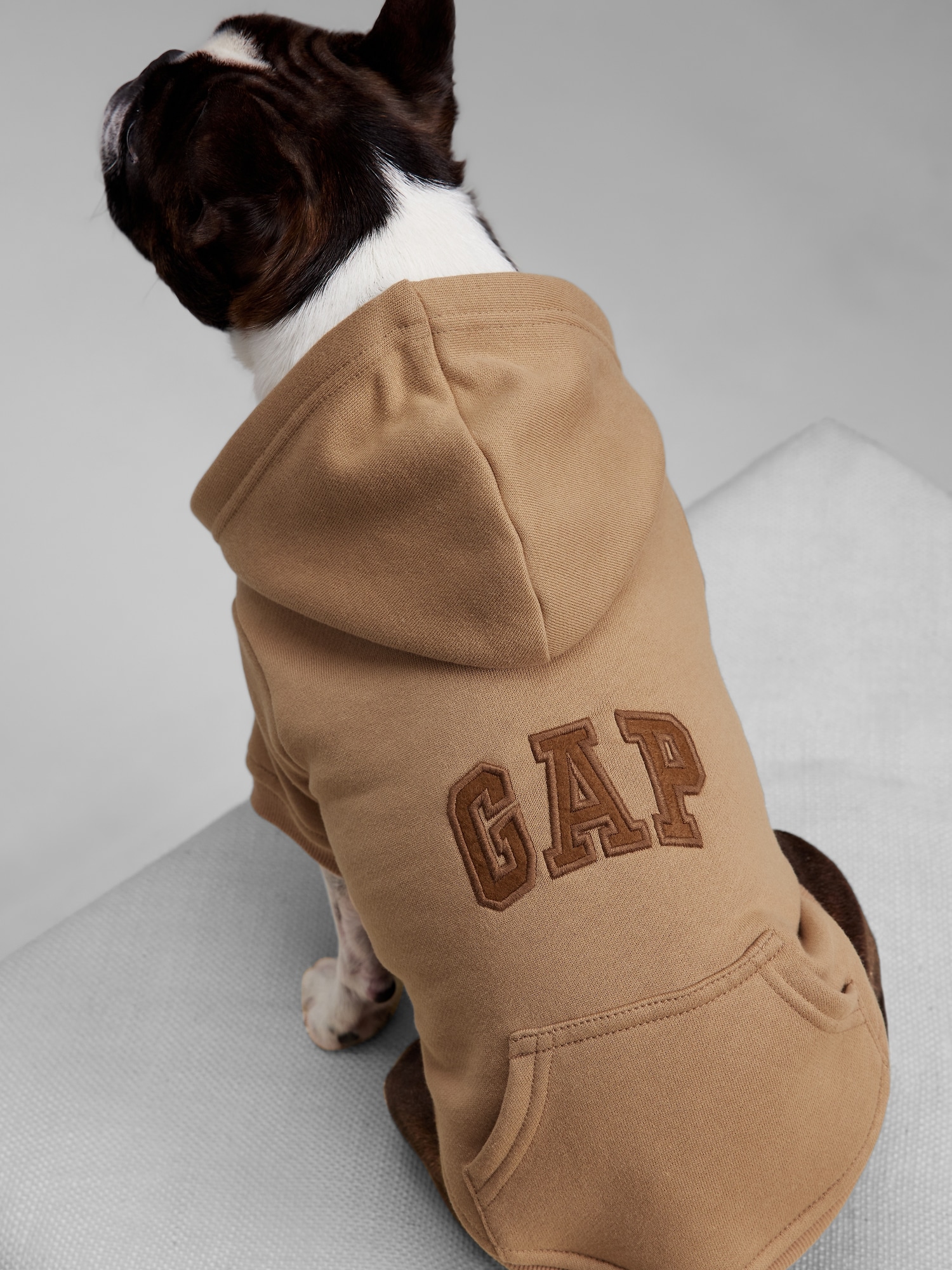 Dog Gap Logo Hoodie Gap