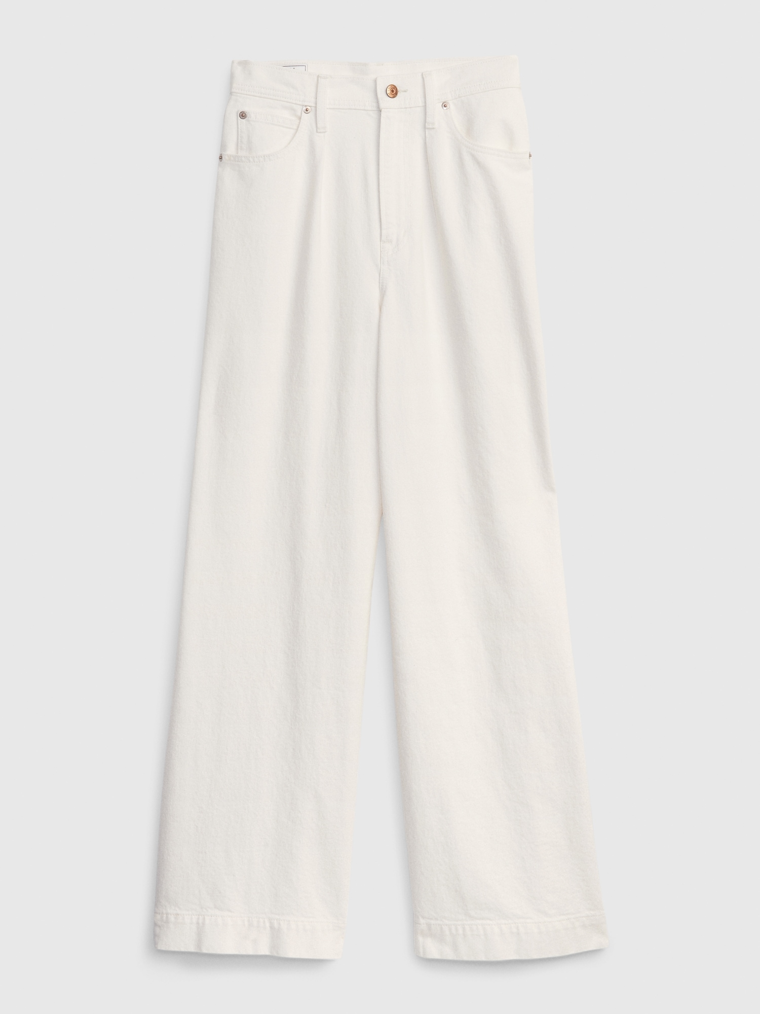 High Rise Pleated Wide-Leg Trouser with Washwell