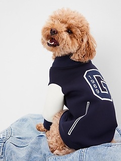Dog Sweaters | Gap Canada