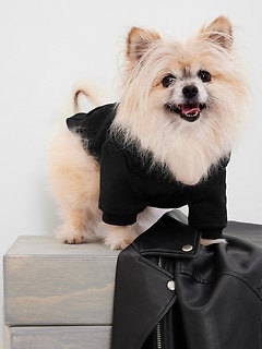 Dog Sweaters | Gap Canada