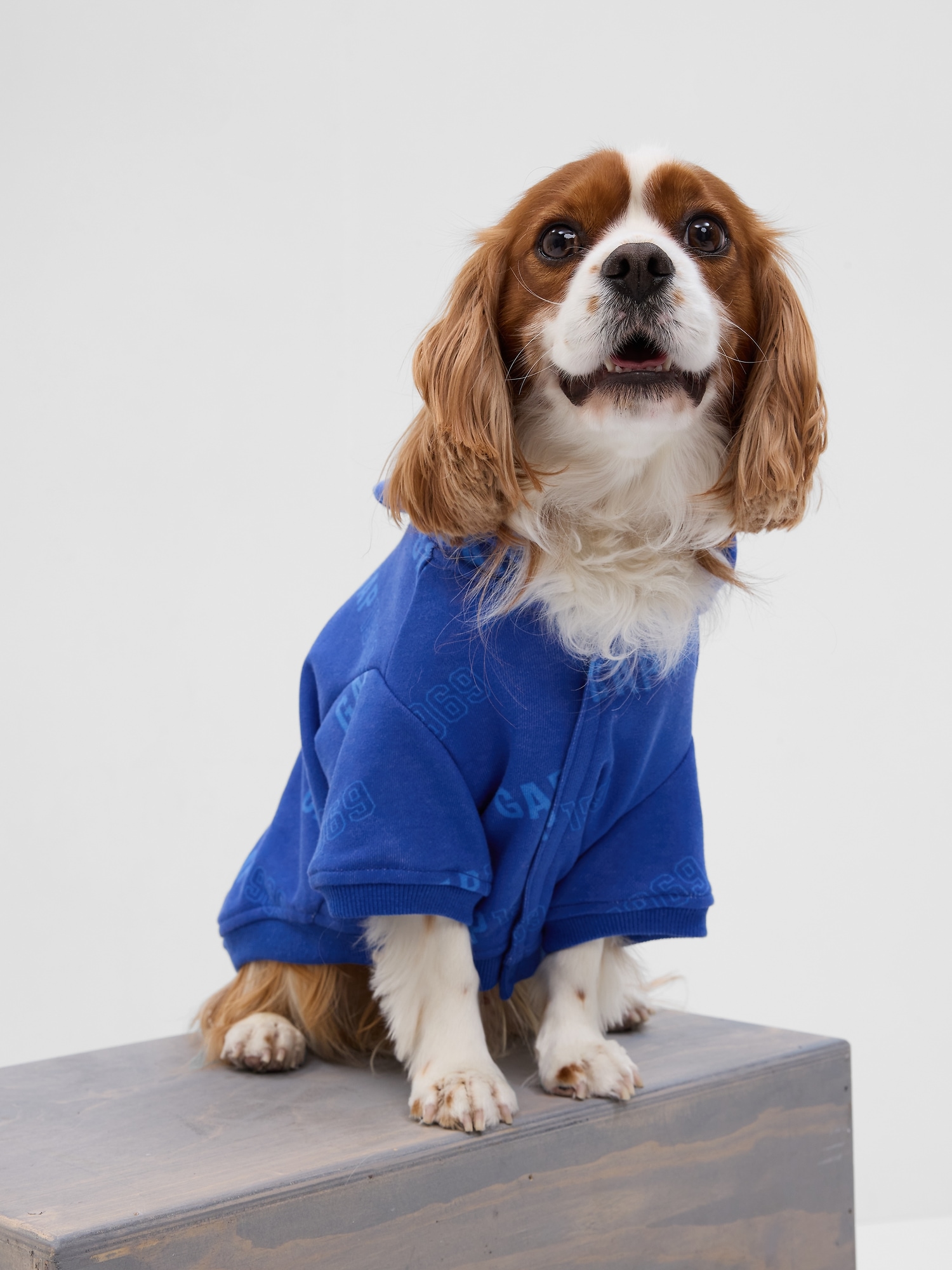 Gap Logo Pet Hoodie blue. 1