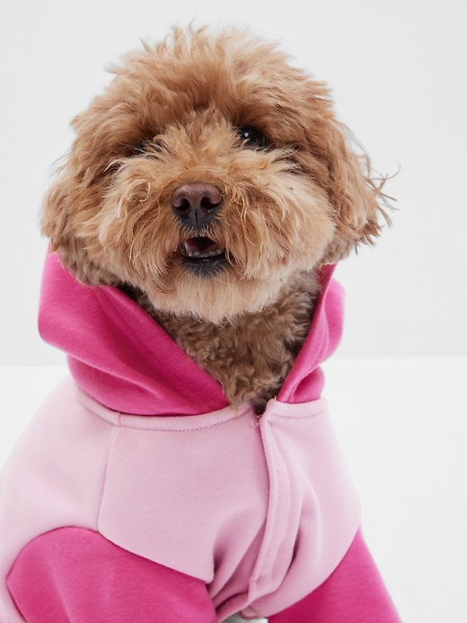 View large product image 2 of 4. Gap &#215 Barbie&#153 Arch Logo Dog Hoodie