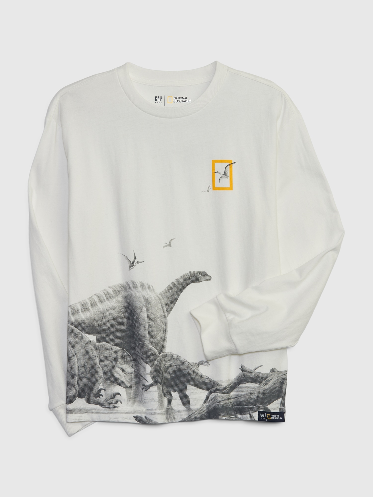 Kids 100% Organic Cotton National Geographic Dinosaur Graphic T-Shirt | Gap