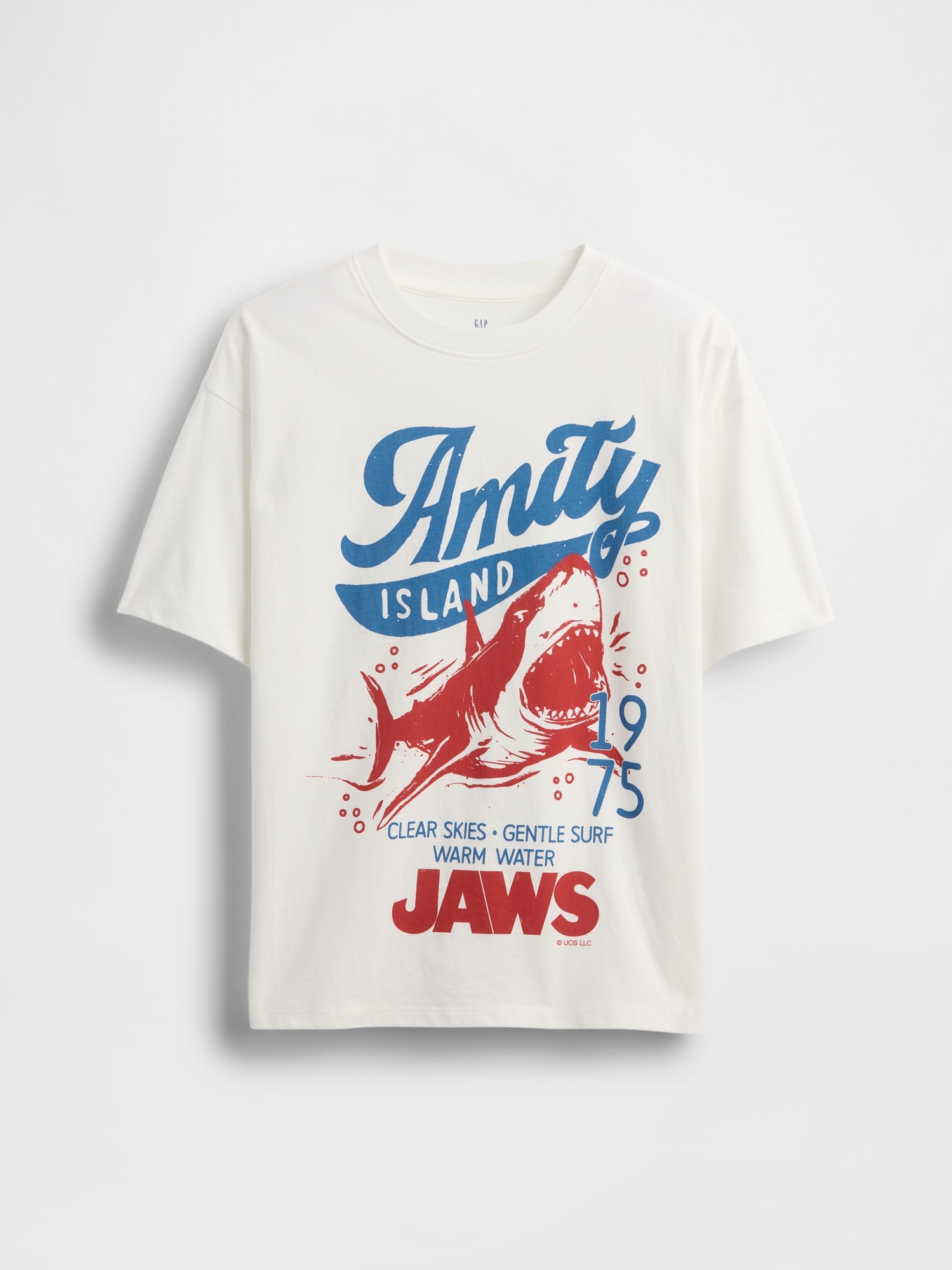 Kids Heavyweight Organic Cotton Graphic T-Shirt