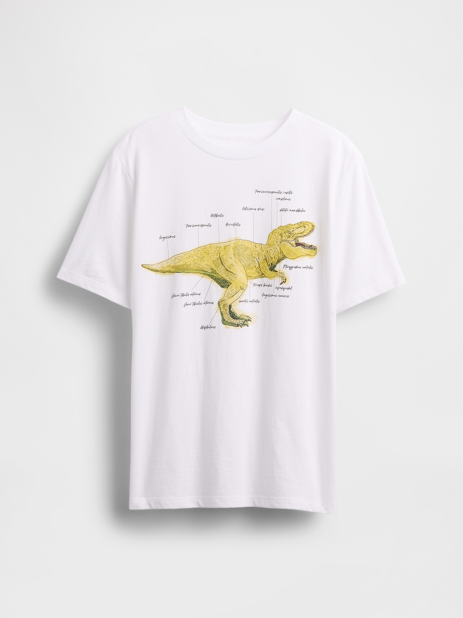 Kids Graphic T-Shirt