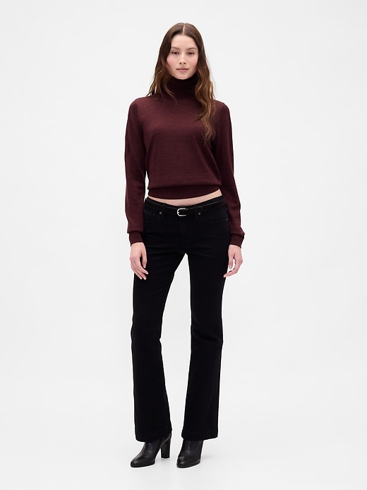 Merino Turtleneck Sweater