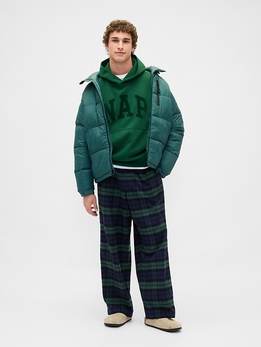 Image number 2 showing, VintageSoft NAP Logo Hoodie