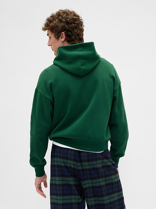 Image number 3 showing, VintageSoft NAP Logo Hoodie