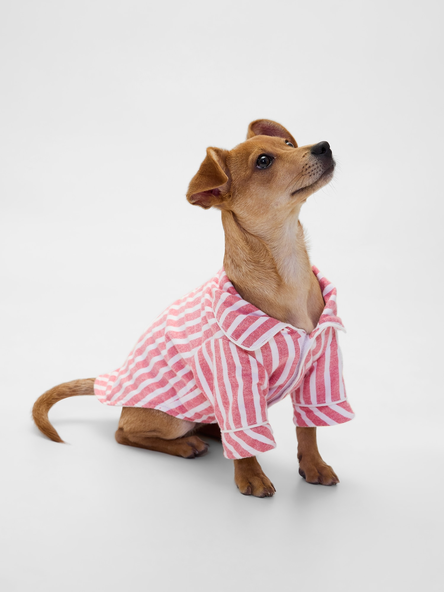 Flannel Pet PJs - Red Stripe