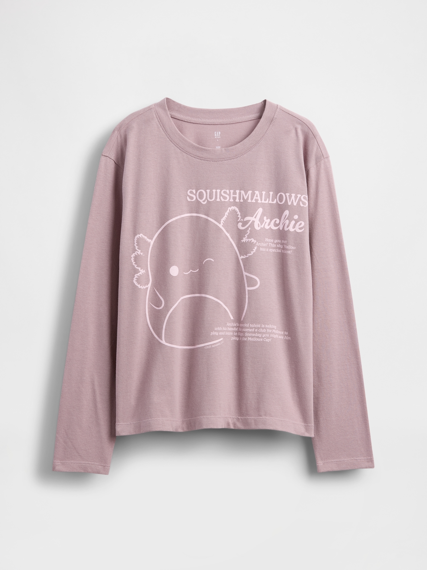 Kids Squishmallow Oversized Graphic T-Shirt