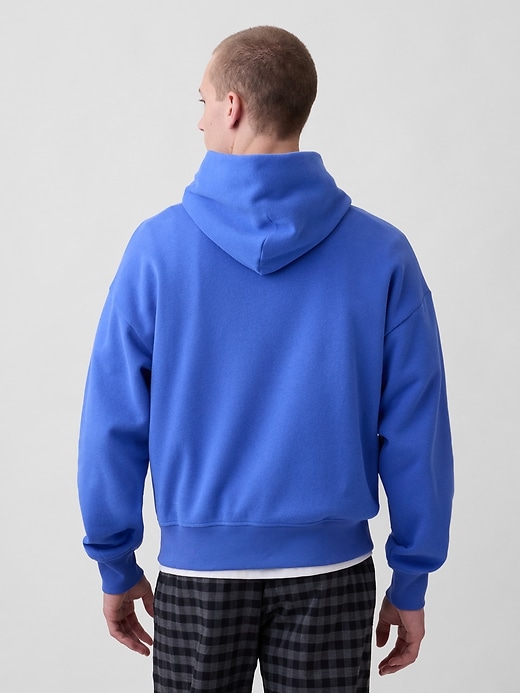 Image number 3 showing, Adult VintageSoft NAP Logo Hoodie