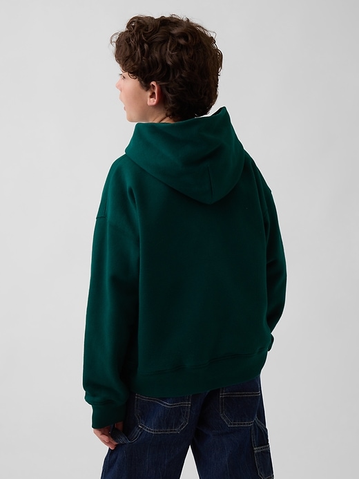 Image number 3 showing, Kids VintageSoft Relaxed Brannan Bear Logo Hoodie
