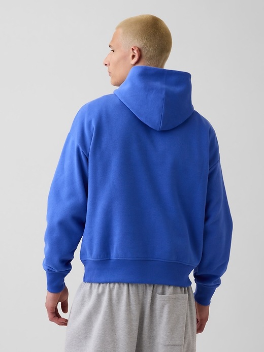 Image number 3 showing, Adult VintageSoft NAP Logo Hoodie